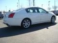 Winter Frost Pearl - Maxima 3.5 SE Photo No. 4
