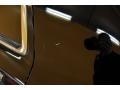 Black - Crown Victoria Police Interceptor Photo No. 19