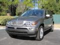Sterling Grey Metallic - X5 4.4i Photo No. 9