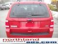 2011 Sangria Red Metallic Ford Escape XLT V6 4WD  photo #7