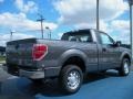 Sterling Grey Metallic 2011 Ford F150 XL Regular Cab Exterior