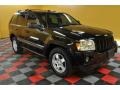 Black - Grand Cherokee Laredo 4x4 Photo No. 1