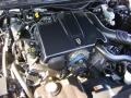 Vibrant White - Grand Marquis LS Photo No. 13