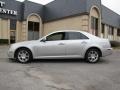 Light Platinum - STS V6 Photo No. 4