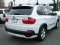 Alpine White 2010 BMW X5 xDrive30i Exterior