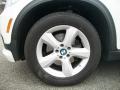 2010 BMW X5 xDrive30i Wheel and Tire Photo