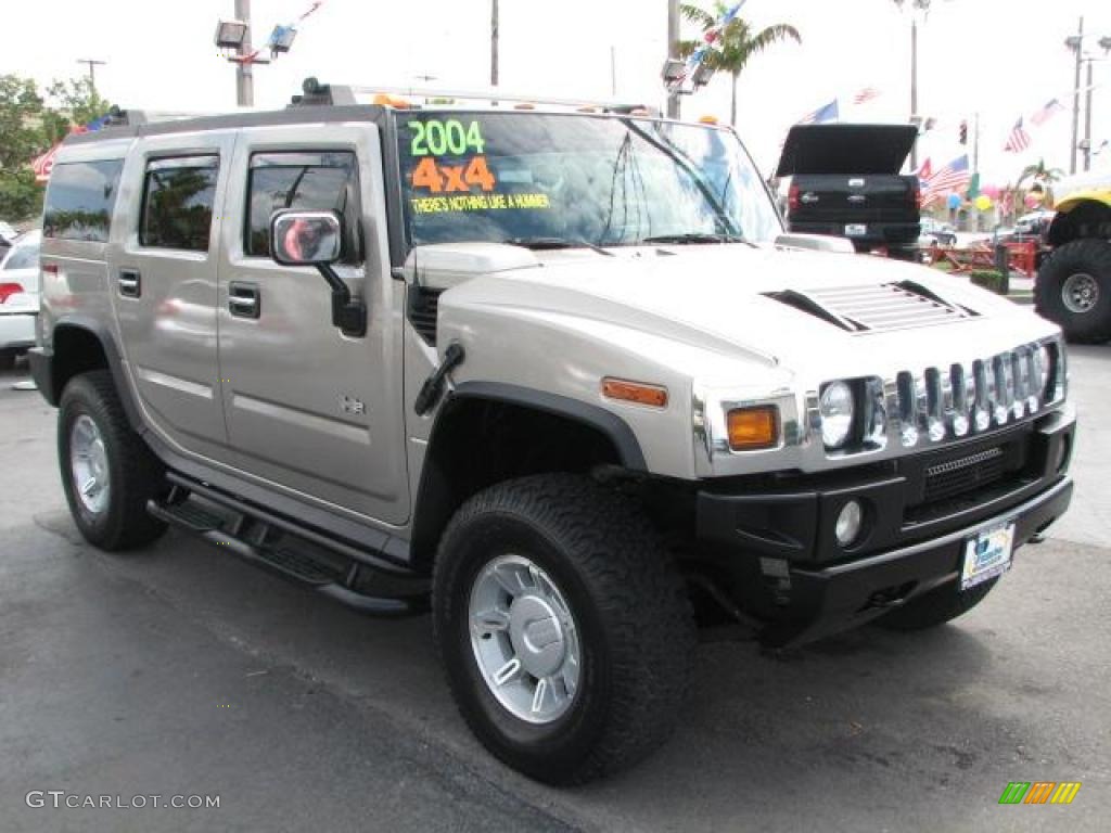 2004 H2 SUV - Pewter Metallic / Wheat photo #1