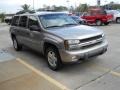 Light Pewter Metallic - TrailBlazer EXT LS Photo No. 5