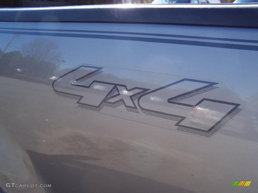 2004 F150 Lariat SuperCrew 4x4 - Arizona Beige Metallic / Tan photo #13