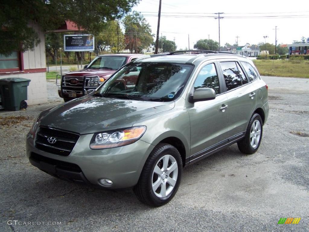 Platinum Sage Hyundai Santa Fe