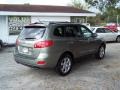 2007 Platinum Sage Hyundai Santa Fe Limited  photo #5