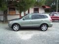 2007 Platinum Sage Hyundai Santa Fe Limited  photo #8