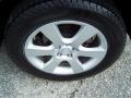 2007 Platinum Sage Hyundai Santa Fe Limited  photo #9