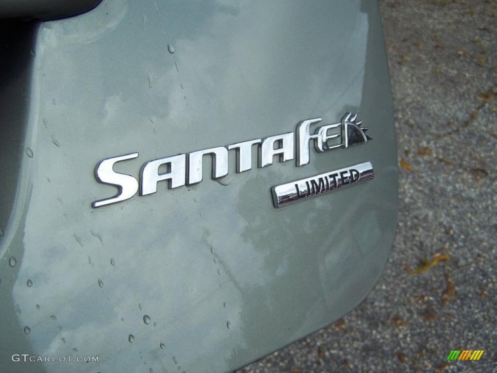 2007 Santa Fe Limited - Platinum Sage / Beige photo #12