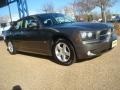 Dark Titanium Metallic - Charger SXT Photo No. 6