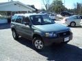 Titanium Green Metallic - Escape XLS 4WD Photo No. 3