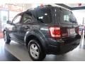 2009 Sport Blue Metallic Ford Escape XLT V6 4WD  photo #4