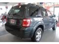 2009 Sport Blue Metallic Ford Escape XLT V6 4WD  photo #6