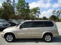 Cool Beige Metallic - XL7 LX Photo No. 2