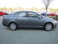Platinum Grey Metallic - Jetta SE Sedan Photo No. 6