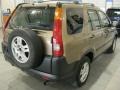 Mojave Mist Metallic - CR-V EX 4WD Photo No. 10