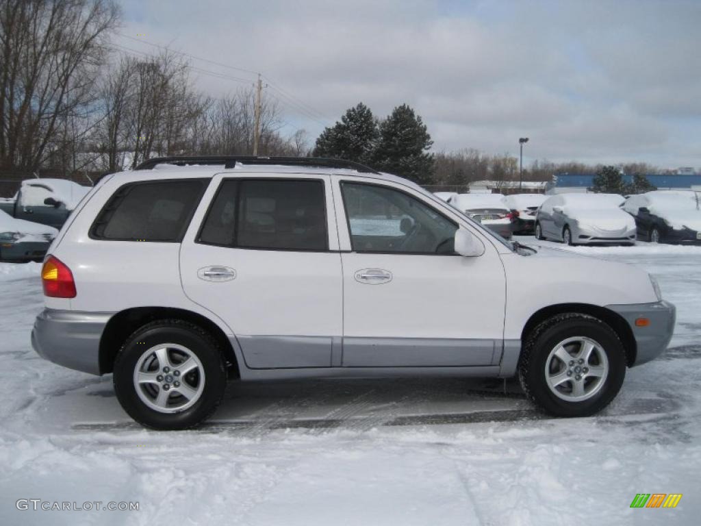 2004 Santa Fe GLS - Nordic White / Gray photo #15