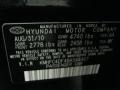 2011 Black Onyx Pearl Hyundai Azera Limited  photo #22