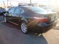 Black Sapphire Pearl - LS 460 Photo No. 3