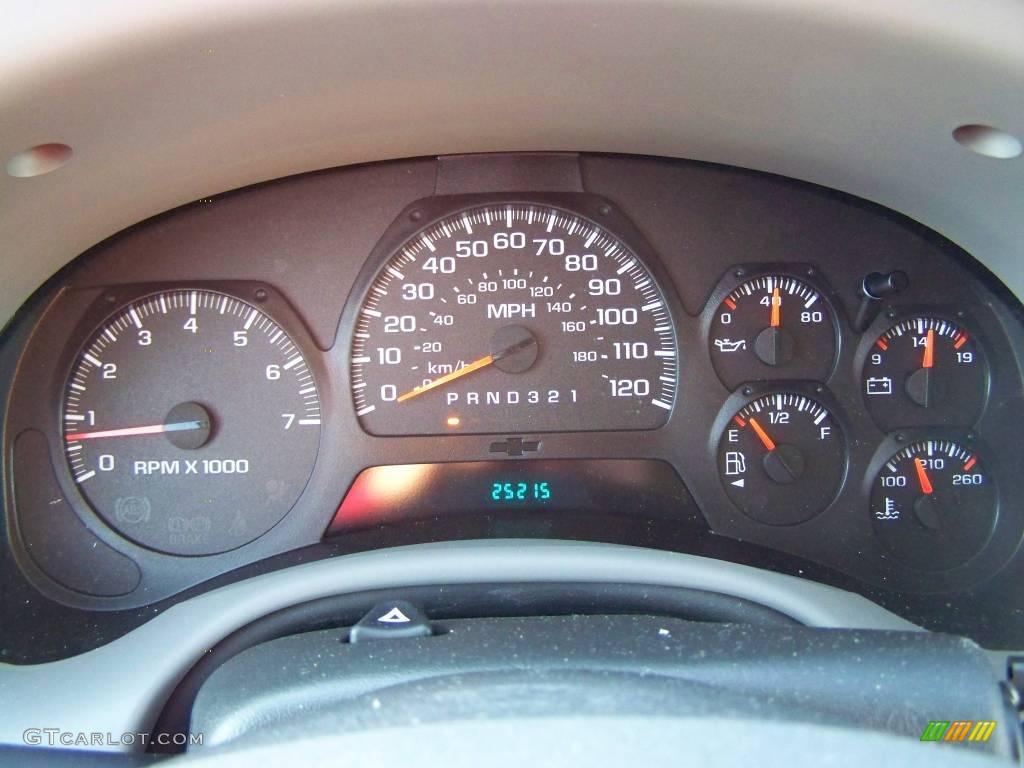 2006 TrailBlazer LS 4x4 - Summit White / Light Gray photo #16