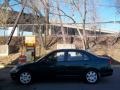 2001 Clover Green Honda Civic EX Sedan  photo #3