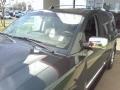 Jade Green Metallic - QX 56 4WD Photo No. 21