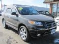 Ebony Black - Santa Fe Limited 4WD Photo No. 23