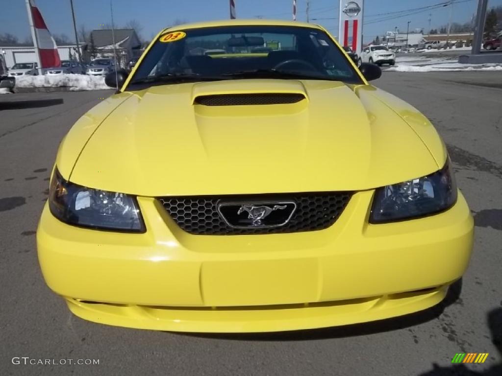 2003 Mustang V6 Coupe - Zinc Yellow / Medium Graphite photo #2