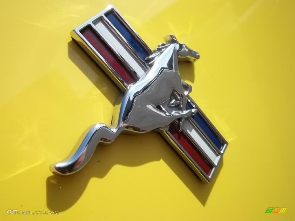 2003 Mustang V6 Coupe - Zinc Yellow / Medium Graphite photo #31