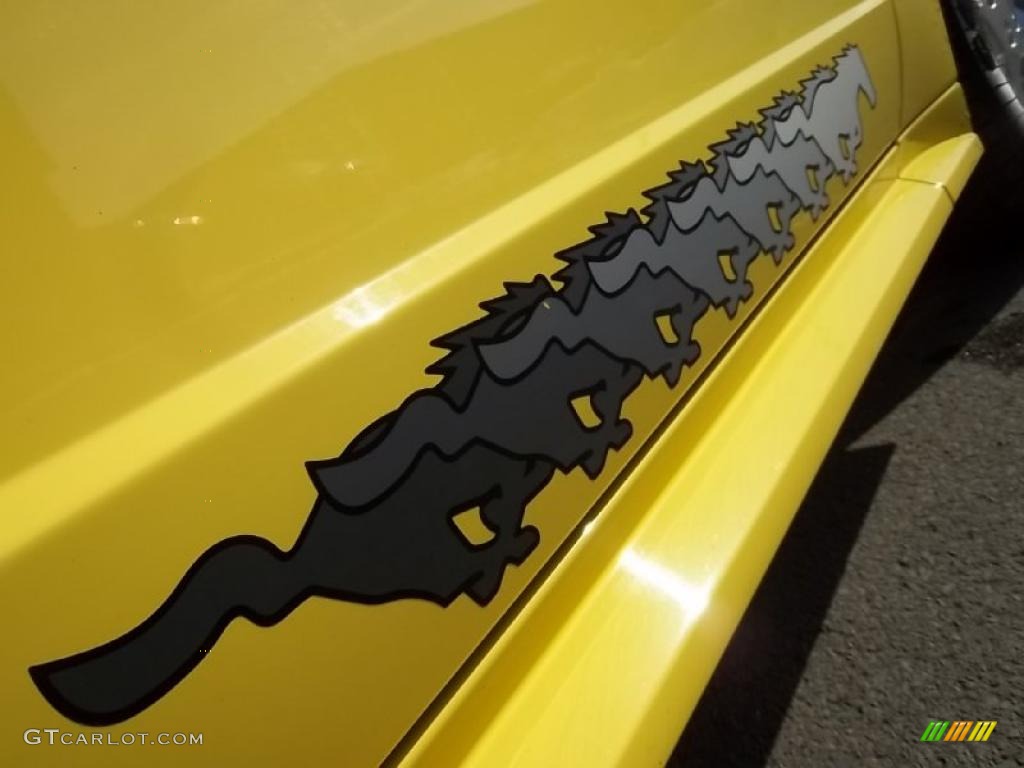 2003 Mustang V6 Coupe - Zinc Yellow / Medium Graphite photo #32