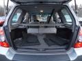 Steel Silver Metallic - Forester 2.5 X Sports Photo No. 14