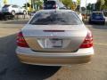 Desert Silver Metallic - E 320 Sedan Photo No. 5