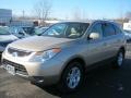 2008 Satin Beige Metallic Hyundai Veracruz GLS  photo #1