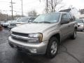 Light Pewter Metallic - TrailBlazer LT 4x4 Photo No. 1