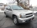 Light Pewter Metallic - TrailBlazer LT 4x4 Photo No. 2
