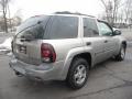 Light Pewter Metallic - TrailBlazer LT 4x4 Photo No. 3
