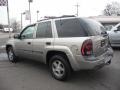 Light Pewter Metallic - TrailBlazer LT 4x4 Photo No. 4