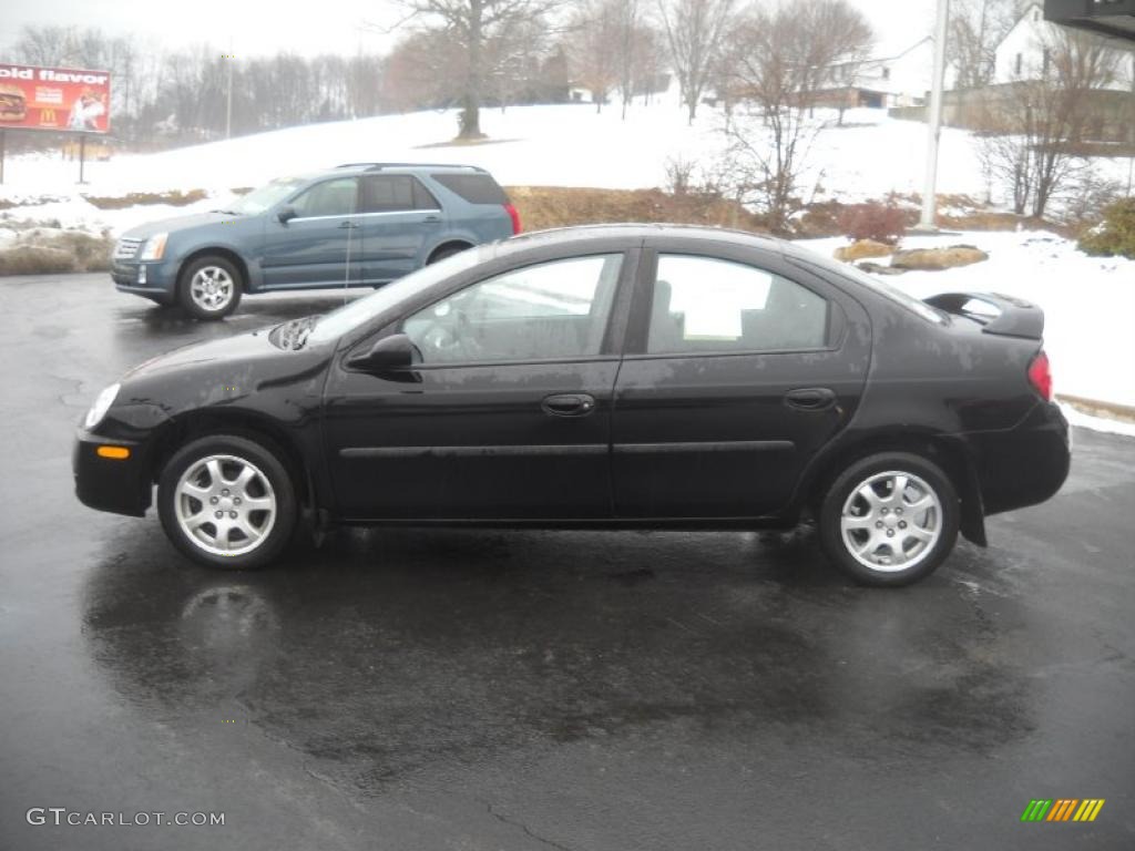 2005 Neon SXT - Black / Dark Slate Gray photo #6