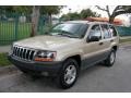 Champagne Pearlcoat - Grand Cherokee Laredo 4x4 Photo No. 1