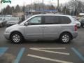 2007 Silver Kia Sedona LX  photo #6