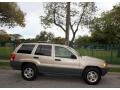 Champagne Pearlcoat - Grand Cherokee Laredo 4x4 Photo No. 12