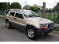 Champagne Pearlcoat - Grand Cherokee Laredo 4x4 Photo No. 14