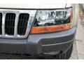 Champagne Pearlcoat - Grand Cherokee Laredo 4x4 Photo No. 18