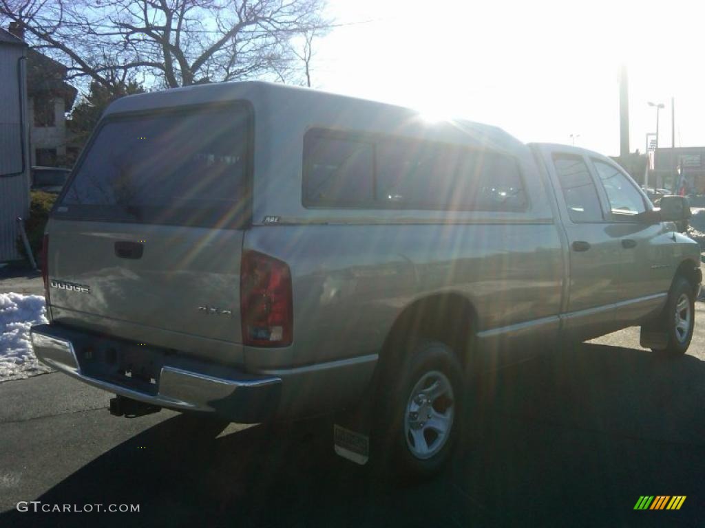 2002 Ram 1500 ST Quad Cab 4x4 - Light Almond Pearl / Dark Slate Gray photo #5