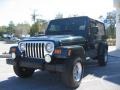 2005 Deep Beryl Green Pearl Jeep Wrangler Unlimited 4x4  photo #7